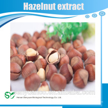 Top Quality 10 Years experience manufacture supply hazelnut extract